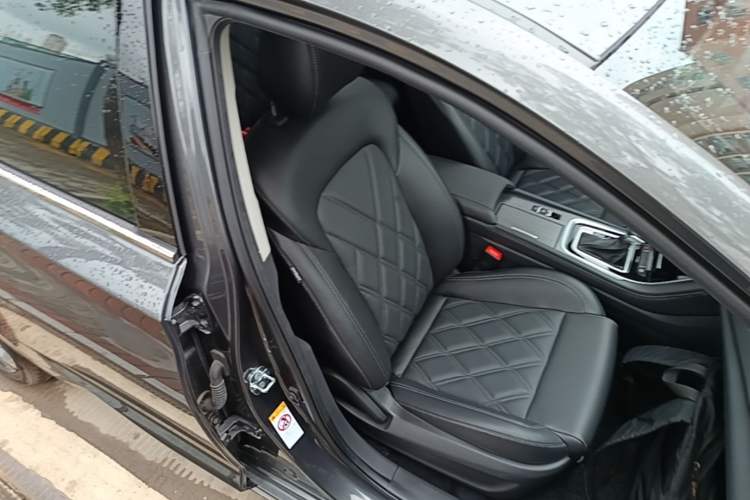 Used CHANGAN Ruicheng CC 2022 Blue Whale Edition 1.5T DCT Luxury Model Right Front Seat