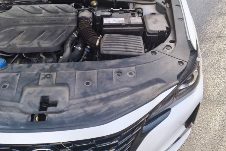Used CHANGAN Ruicheng CC 2022 Blue Whale Edition 1.5T DCT Prestige Model Engine Bay Left