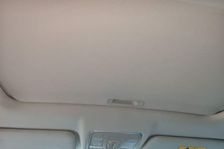 Used CHANGAN Ruicheng CC 2022 Blue Whale Edition 1.5T DCT Luxury Model Headliner