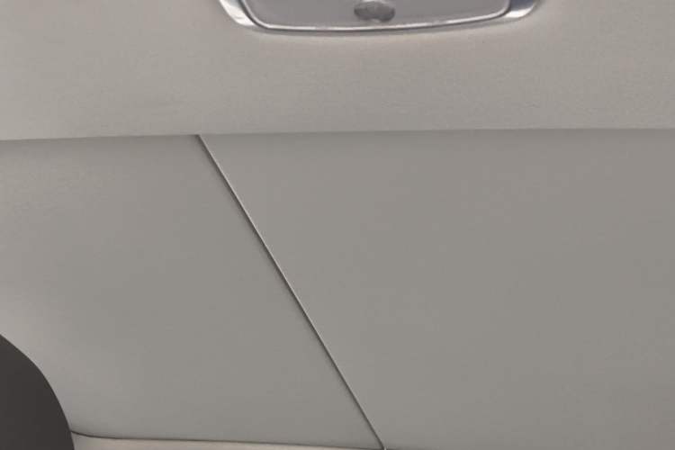 Used CHANGAN Ruicheng CC 2022 Blue Whale Edition 1.5T DCT Prestige Model Headliner