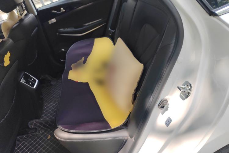 Used CHANGAN Ruicheng CC 2022 Blue Whale Edition 1.5T DCT Prestige Model Left Rear Seat