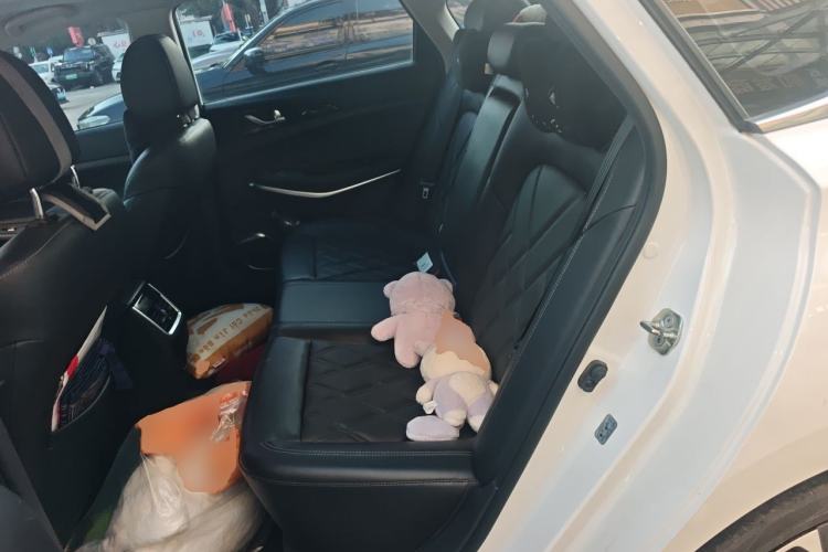 Used CHANGAN Ruicheng CC 2022 Blue Whale Edition 1.5T DCT Luxury Model Left Rear Seat