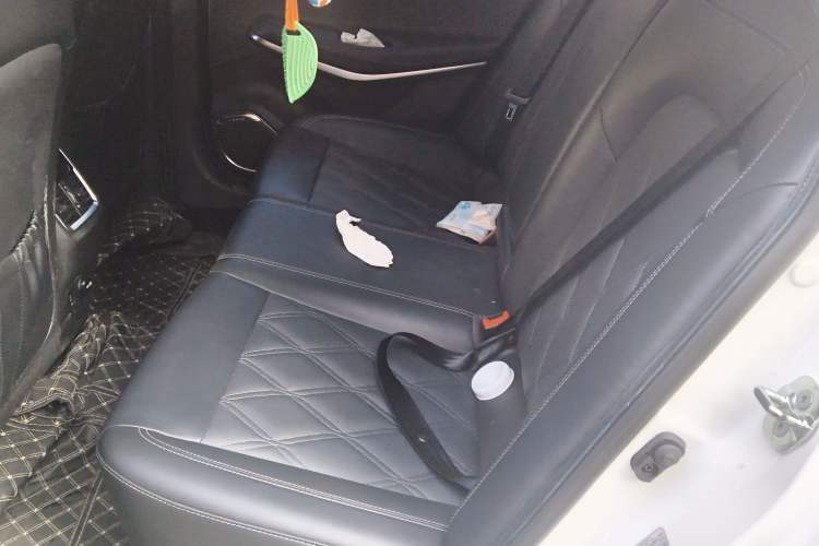 Used CHANGAN Ruicheng CC 2022 Blue Whale Edition 1.5T DCT Prestige Model Left Rear Seat