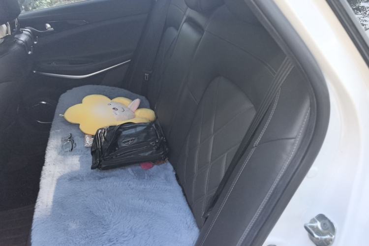 Used CHANGAN Ruicheng CC 2022 Blue Whale Edition 1.5T DCT Prestige Model Left Rear Seat