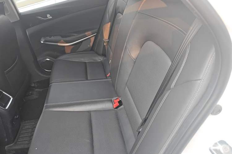 Used CHANGAN Ruicheng CC 2022 Blue Whale Edition 1.5T DCT Elite Model Left Rear Seat