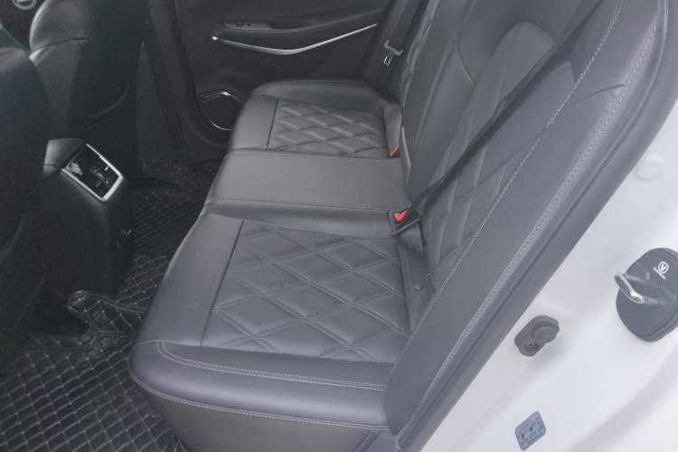 Used CHANGAN Ruicheng CC 2022 Blue Whale Edition 1.5T DCT Luxury Model Left Rear Seat