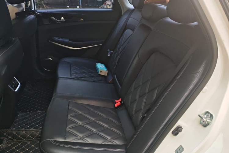 Used CHANGAN Ruicheng CC 2022 Blue Whale Edition 1.5T DCT Luxury Model Left Rear Seat