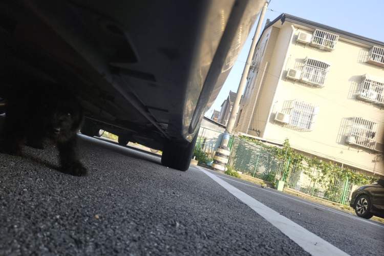 Used CHANGAN Ruicheng PLUS 2023 1.5T DCT Prestige Edition Chassis Front Left