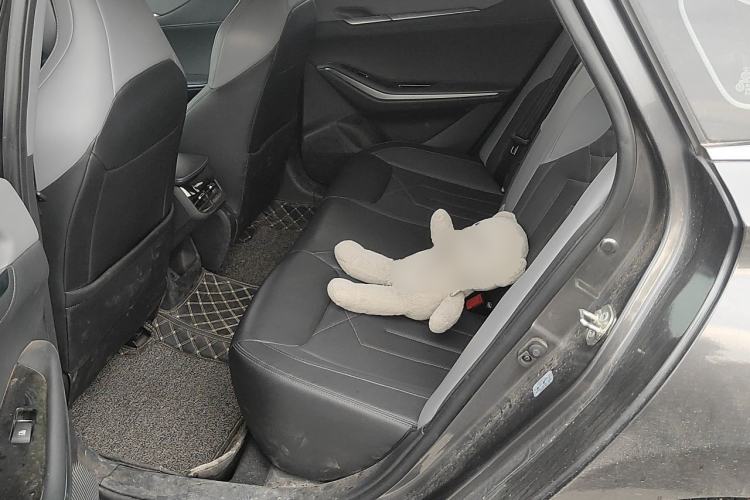 Used CHANGAN Ruicheng PLUS 2023 1.5T DCT Navigation Edition Left Rear Seat