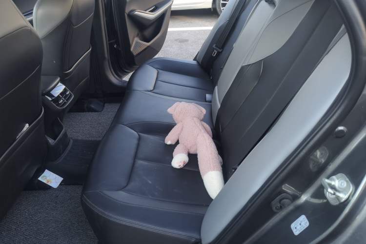Used CHANGAN Ruicheng PLUS 2023 1.5T DCT Prestige Edition Left Rear Seat
