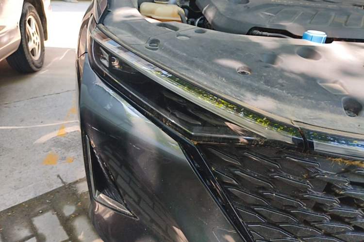 Used CHANGAN Ruicheng PLUS 2023 1.5T DCT Prestige Edition Right Front Headlight
