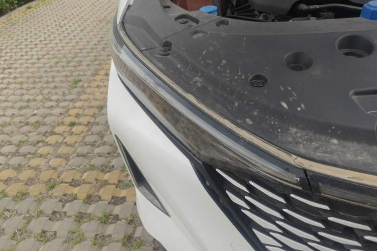 Used CHANGAN Ruicheng PLUS 2023 1.5T DCT Flagship Edition Exterior 6