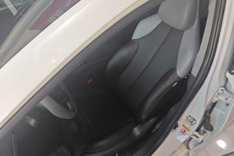 Used CHANGAN Ruicheng PLUS 2023 1.5T DCT Prestige Edition Left Front Seat