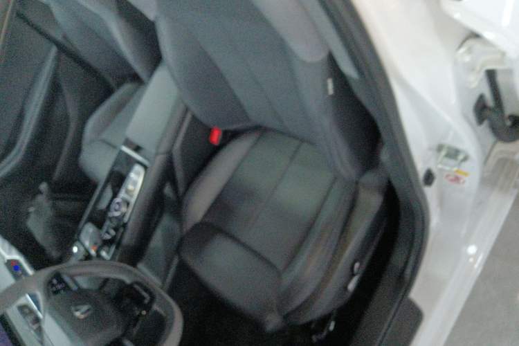 Used CHANGAN Ruicheng PLUS 2023 1.5T DCT Prestige Edition Left Front Seat