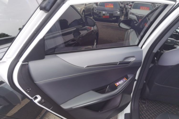 Used CHANGAN Ruicheng PLUS 2023 1.5T DCT Prestige Edition Left Rear Door Interior