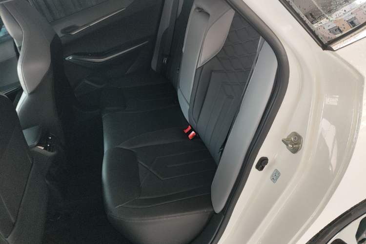 Used CHANGAN Ruicheng PLUS 2023 1.5T DCT Navigation Edition Left Rear Seat
