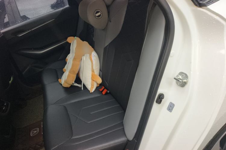 Used CHANGAN Ruicheng PLUS 2023 1.5T DCT Navigation Edition Left Rear Seat