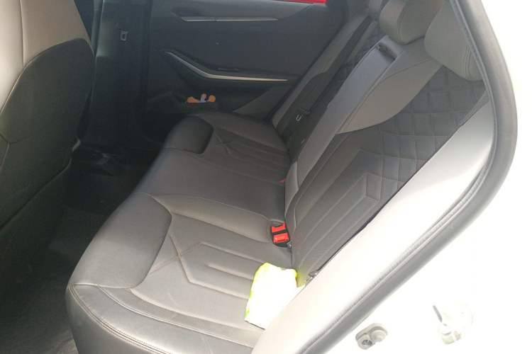 Used CHANGAN Ruicheng PLUS 2023 1.5T DCT Lingyue Trim Left Rear Seat