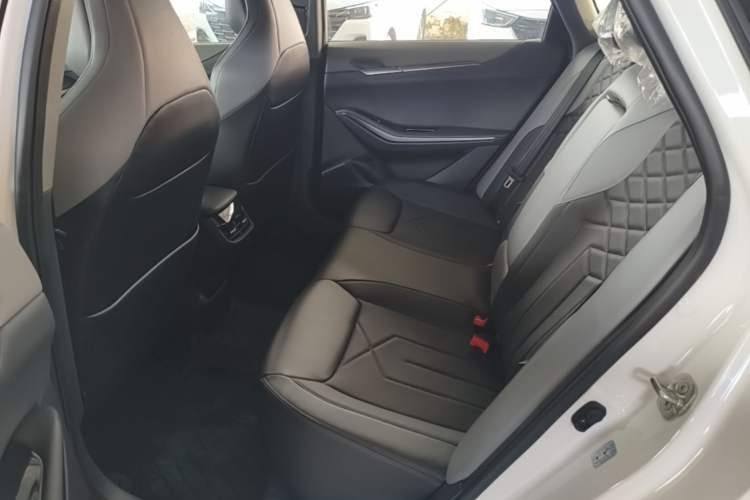 Used CHANGAN Ruicheng PLUS 2023 1.5T DCT Navigation Edition Left Rear Seat