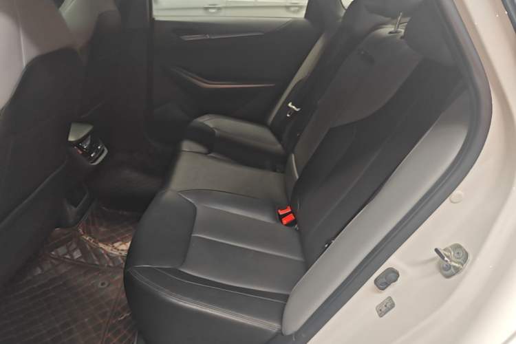 Used CHANGAN Ruicheng PLUS 2023 1.5T DCT Prestige Edition Left Rear Seat