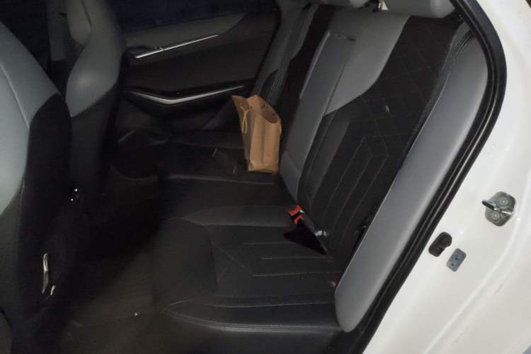 Used CHANGAN Ruicheng PLUS 2023 1.5T DCT Navigation Edition Left Rear Seat