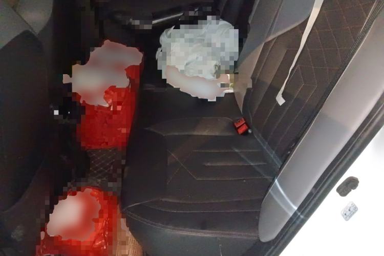 Used CHANGAN Ruicheng PLUS 2023 1.5T DCT Navigation Edition Left Rear Seat