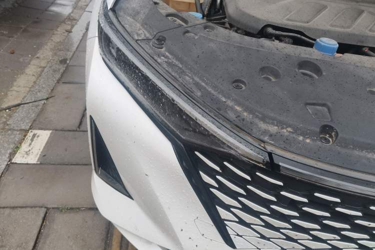 Used CHANGAN Ruicheng PLUS 2023 1.5T DCT Navigation Edition Right Front Headlight