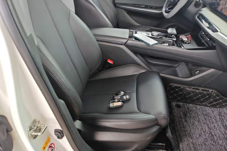 Used CHANGAN Ruicheng PLUS 2023 1.5T DCT Prestige Edition Right Front Seat