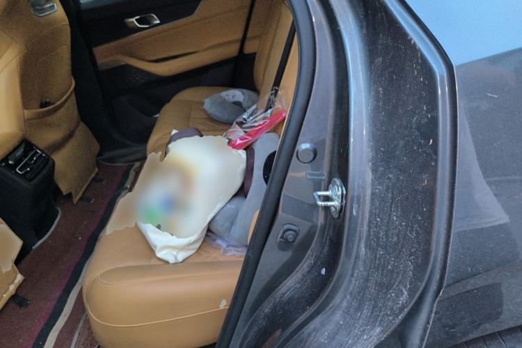 Used CHANGAN UNI-K 2021 2.0T Excellence Edition Left Rear Seat