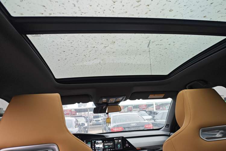 Used CHANGAN UNI-K 2021 2.0T Excellence Edition Headliner