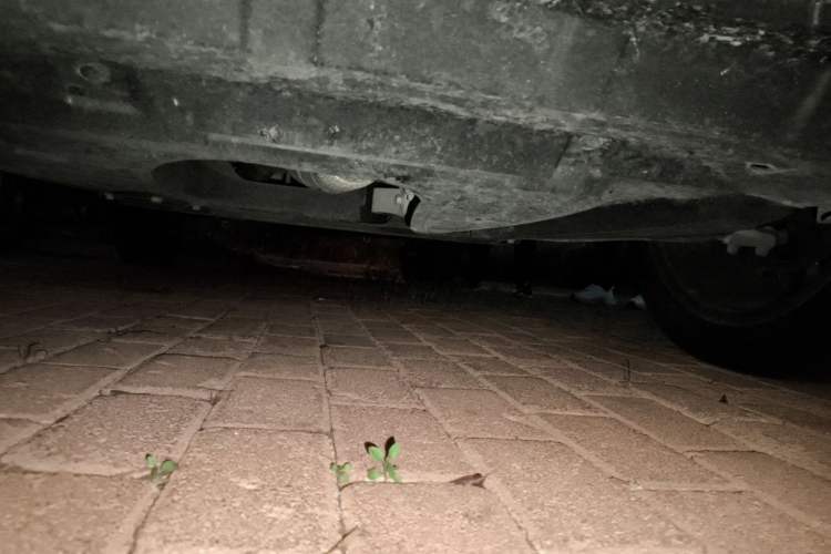 Used CHANGAN UNI-K 2024 2.0T Two-Wheel Drive Global Edition Chassis Front