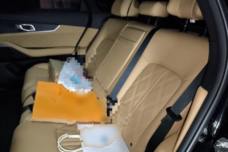 Used CHANGAN UNI-K 2024 2.0T Two-Wheel Drive Global Edition Left Rear Seat