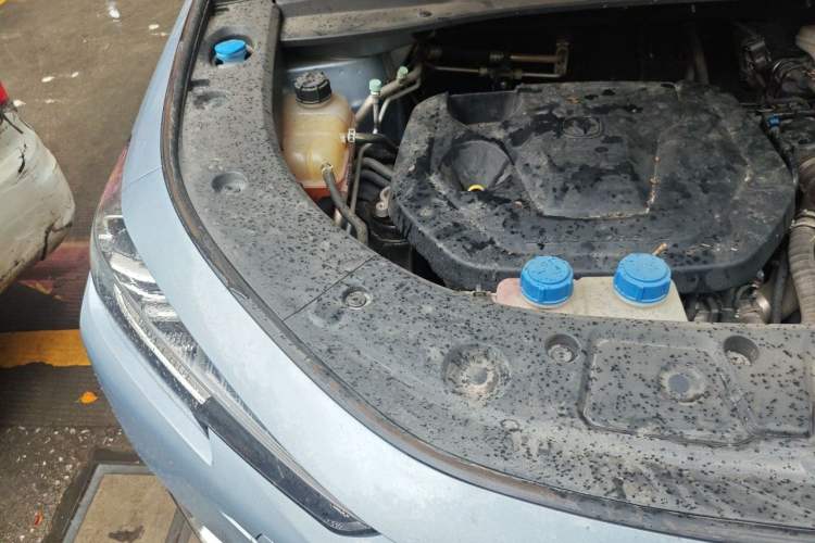 Used CHANGAN UNI-K iDD 2022 Blue Whale iDD 130km 1.5T Prestige Model Engine Bay Right