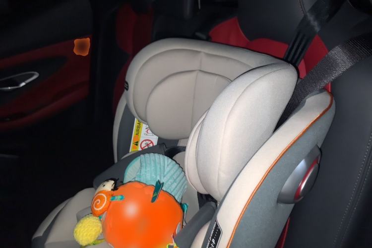 Used CHANGAN UNI-T 2020 1.5T Prestige Version Left Rear Seat