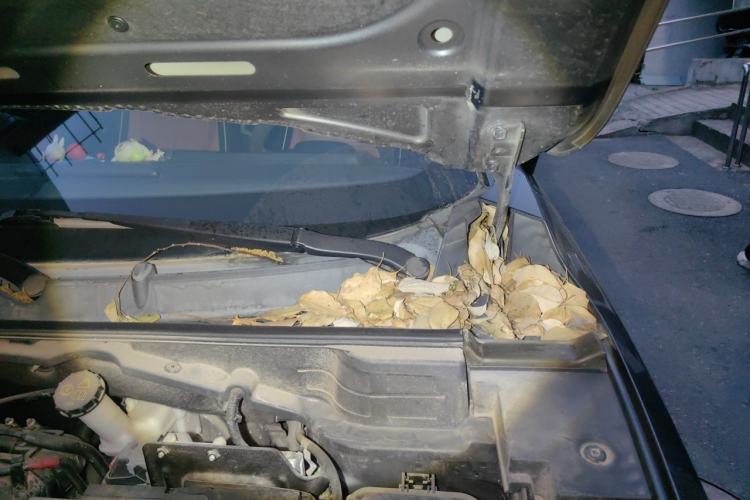 Used CHANGAN UNI-T 2020 1.5T Prestige Version Engine Bay Left