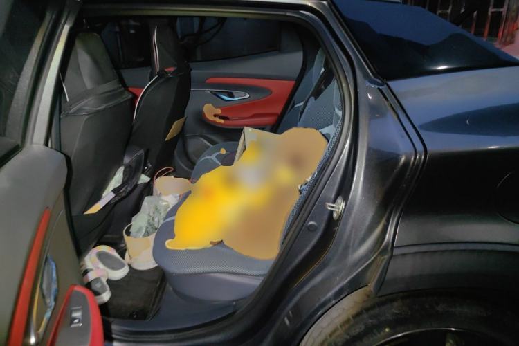 Used CHANGAN UNI-T 2020 1.5T Prestige Version Left Rear Seat