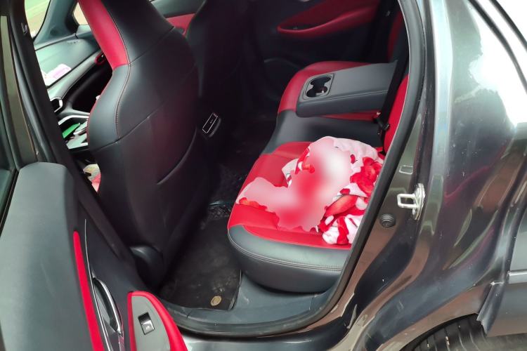 Used CHANGAN UNI-T 2020 1.5T Prestige Version Left Rear Seat