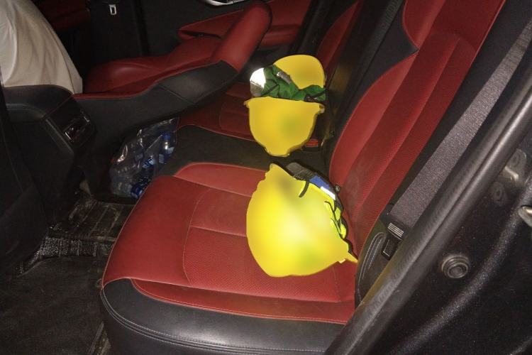 Used CHANGAN UNI-T 2020 1.5T Prestige Version Left Rear Seat