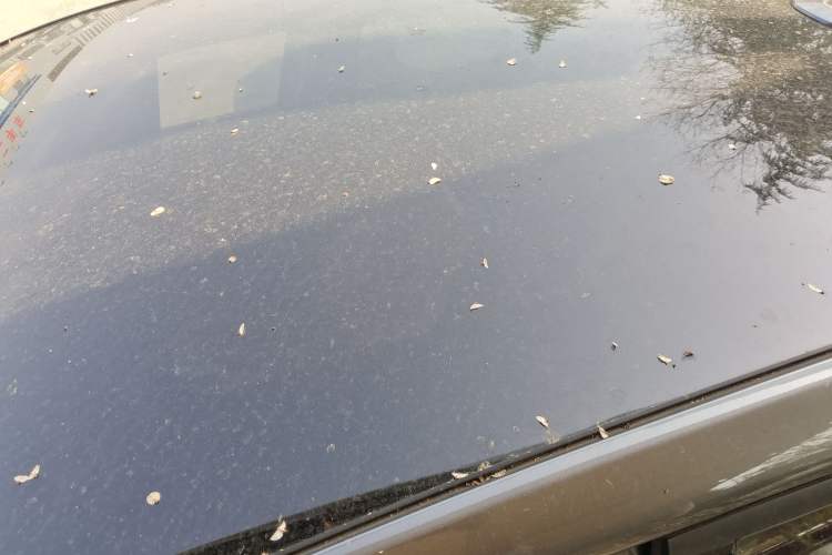 Used CHANGAN UNI-T 2020 1.5T Flagship Version Roof