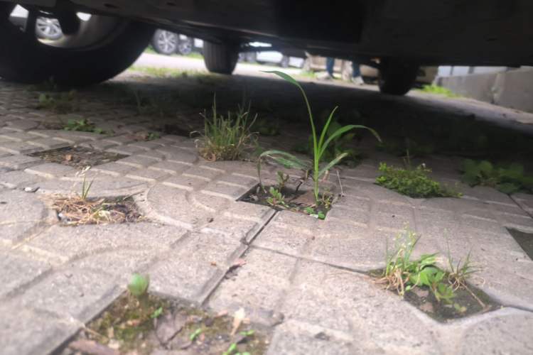 Used CHANGAN UNI-T 2020 1.5T Flagship Version Chassis Front