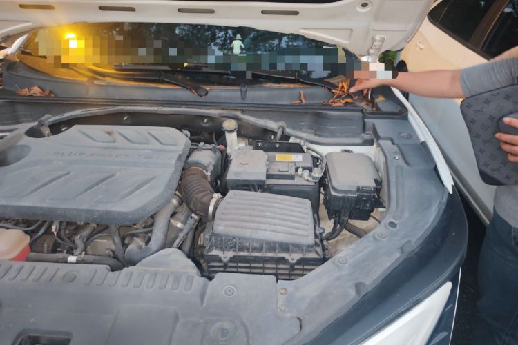 Used CHANGAN UNI-T 2020 1.5T Prestige Version Engine Bay Left