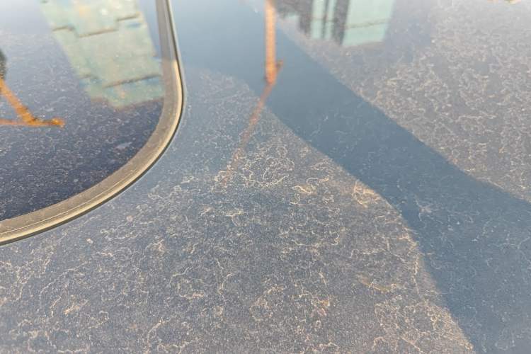 Used CHANGAN UNI-T 2021 1.5T Excellence Model Roof