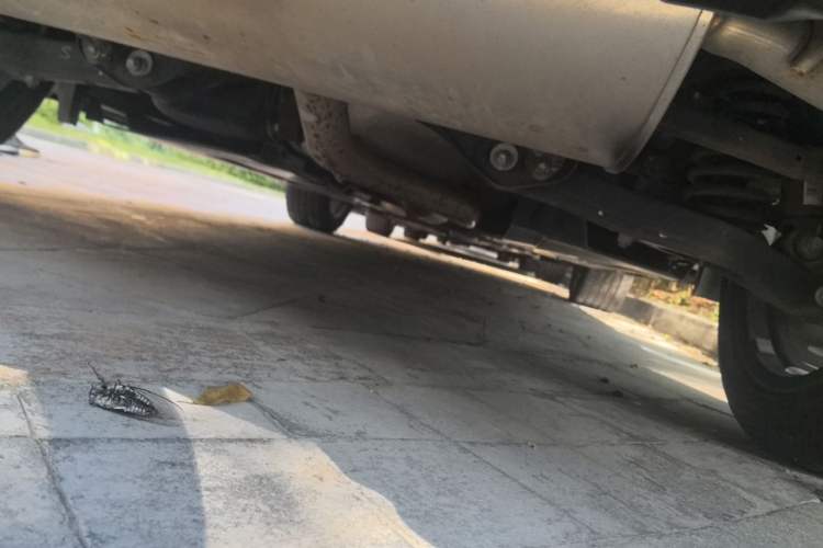 Used CHANGAN UNI-T 2022 1.5T Sport Edition Premium Version Chassis Rear