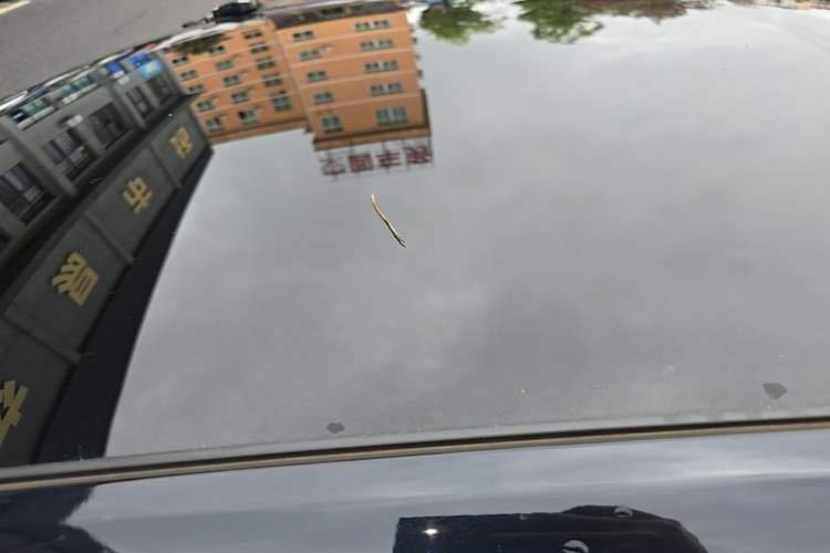 Used CHANGAN UNI-T 2022 1.5T Prestige Version Roof