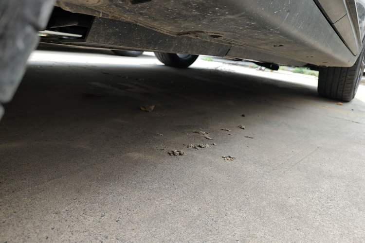 Used CHANGAN UNI-T 2022 1.5T Prestige Version Chassis Rear Right