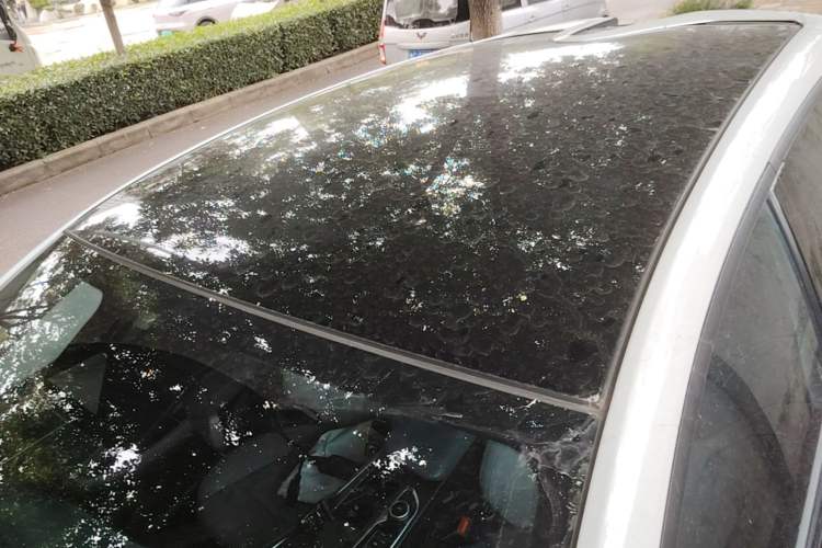 Used CHANGAN UNI-T 2022 1.5T Prestige Version Roof
