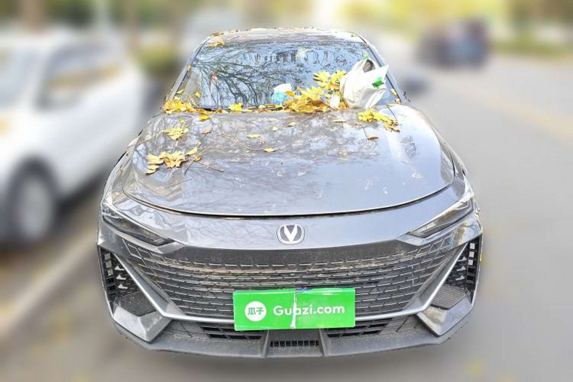 Used CHANGAN UNI-V 2023 1.5T Prestige Model Front