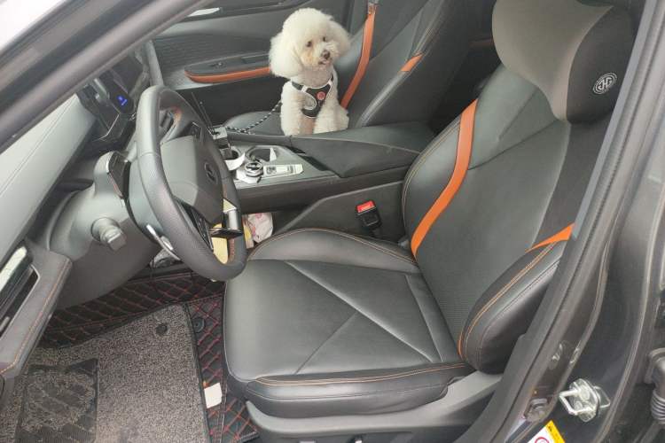 Used CHANGAN UNI-V 2022 1.5T Sport Edition Left Front Seat
