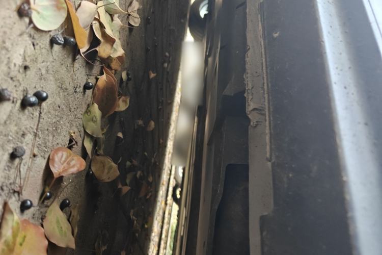 Used CHANGAN UNI-V 2022 1.5T Prestige Version Chassis Rear Left