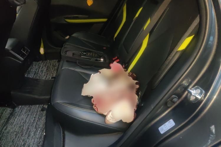 Used CHANGAN UNI-V 2022 1.5T Sport Edition Left Rear Seat